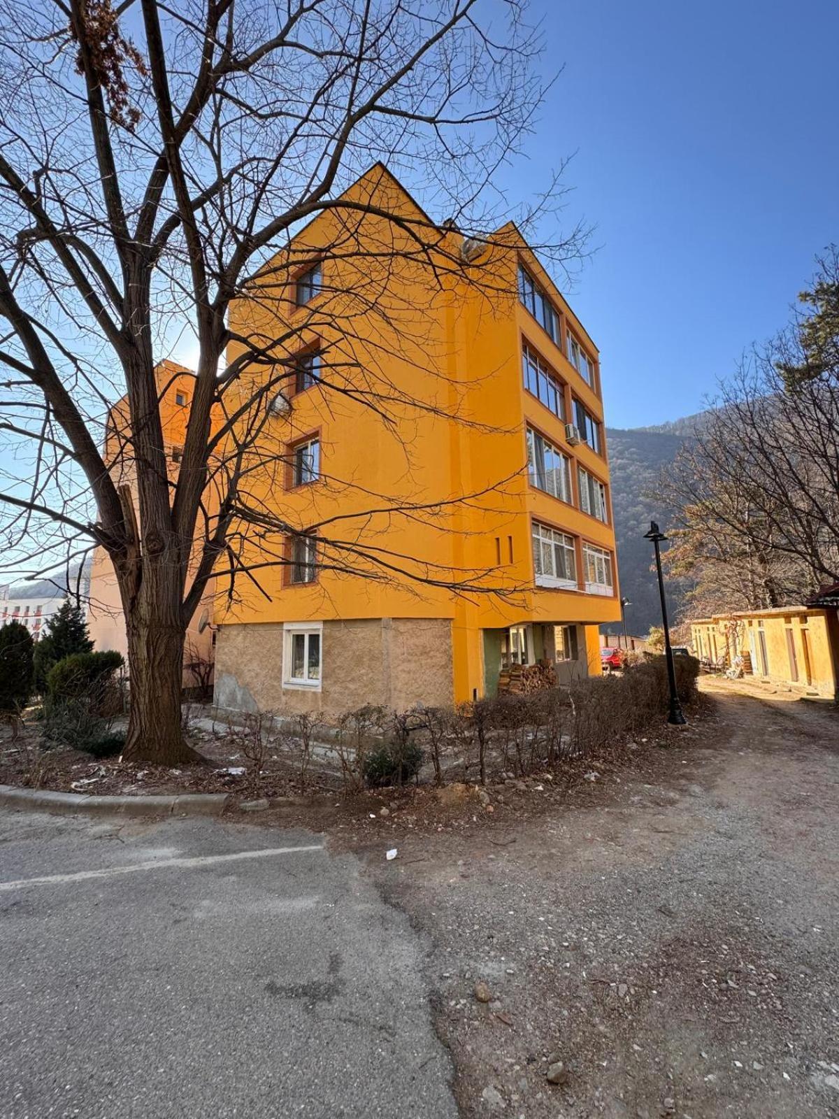 Linen Tree Apartment Băile Herculane Exterior foto